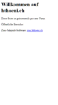 Mobile Screenshot of hthoeni.ch